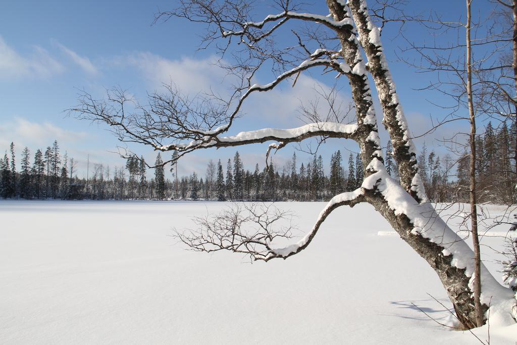 Miiluranta Villas Haapamaki  Bagian luar foto